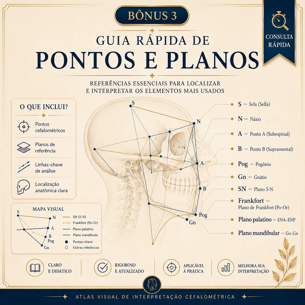 Guia Rápido de Pontos e Planos
