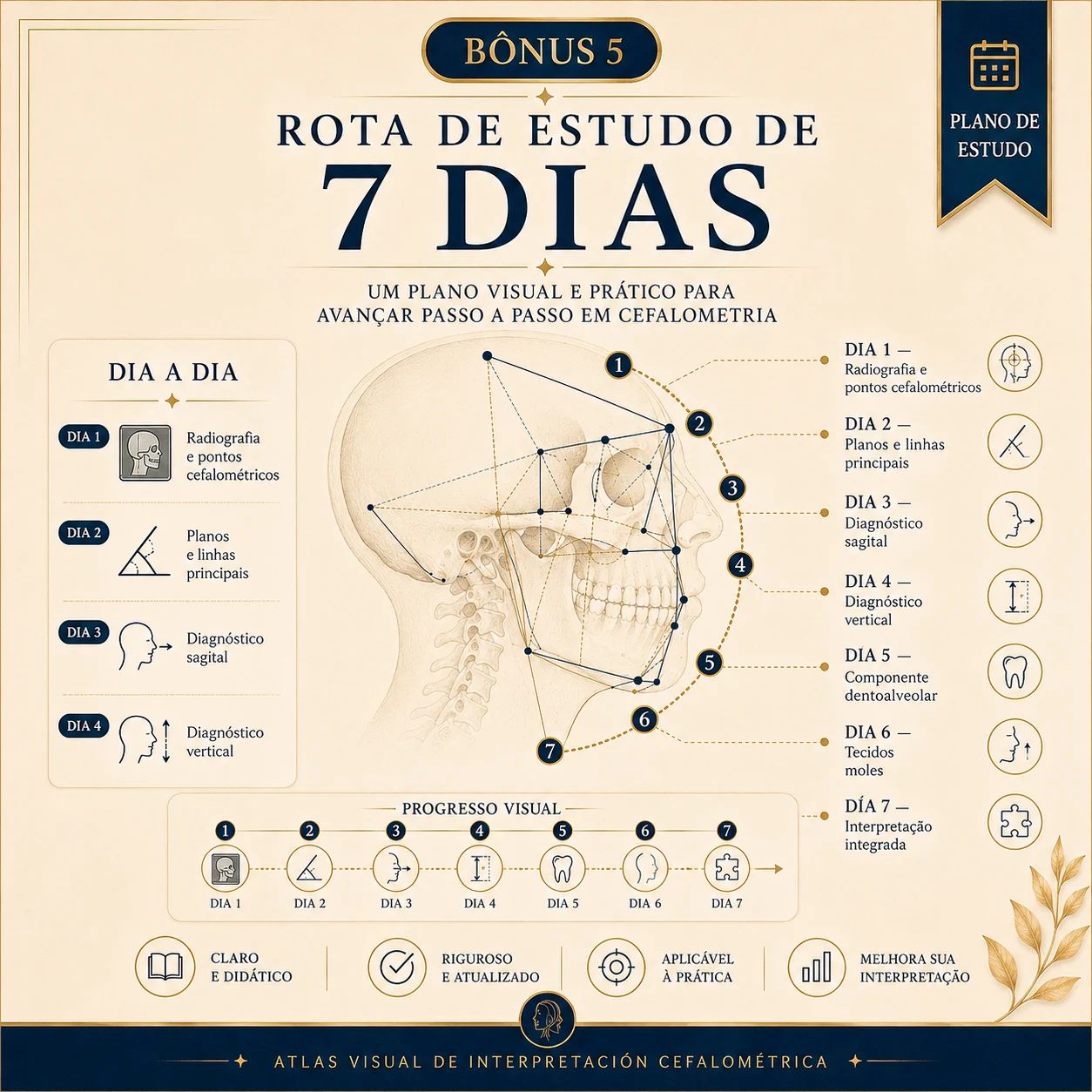 Trilha de Estudo de 7 Dias