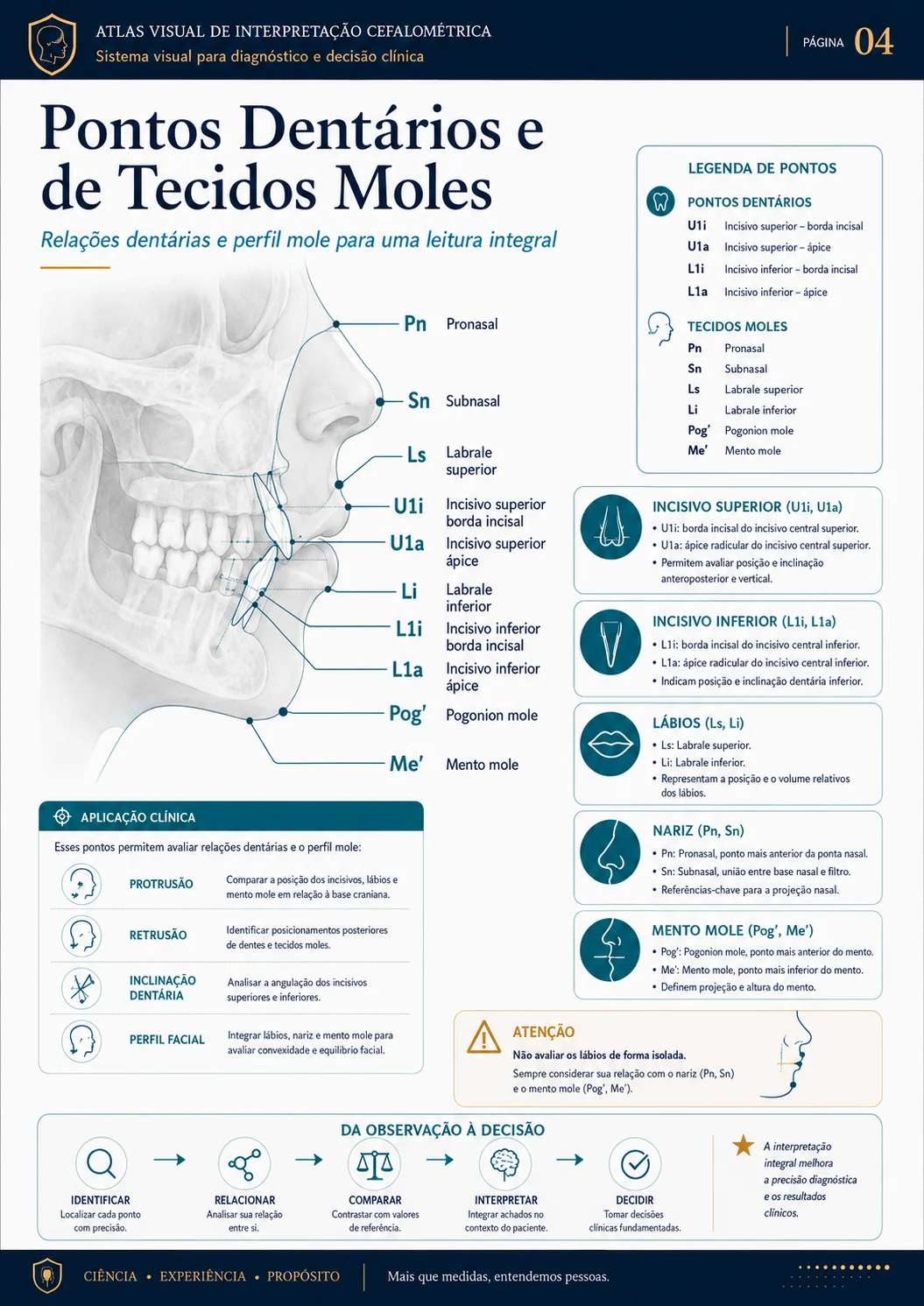 Pontos Dentários e de Tecidos Moles