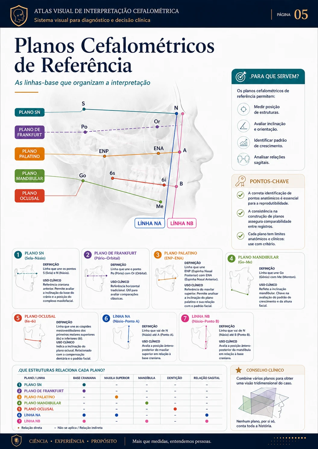 Planos Cefalométricos de Referência