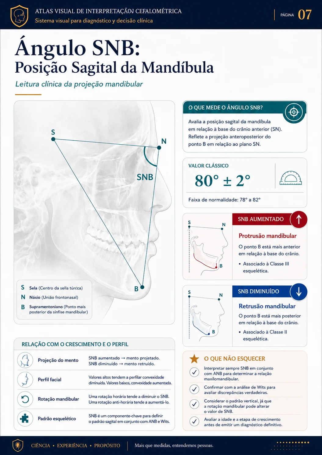 Ângulo SNB: Posição Sagital da Mandíbula