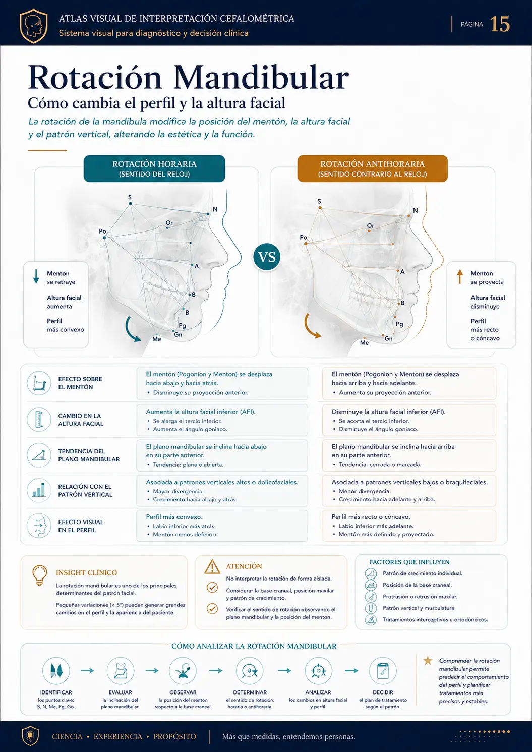Rotação Mandibular