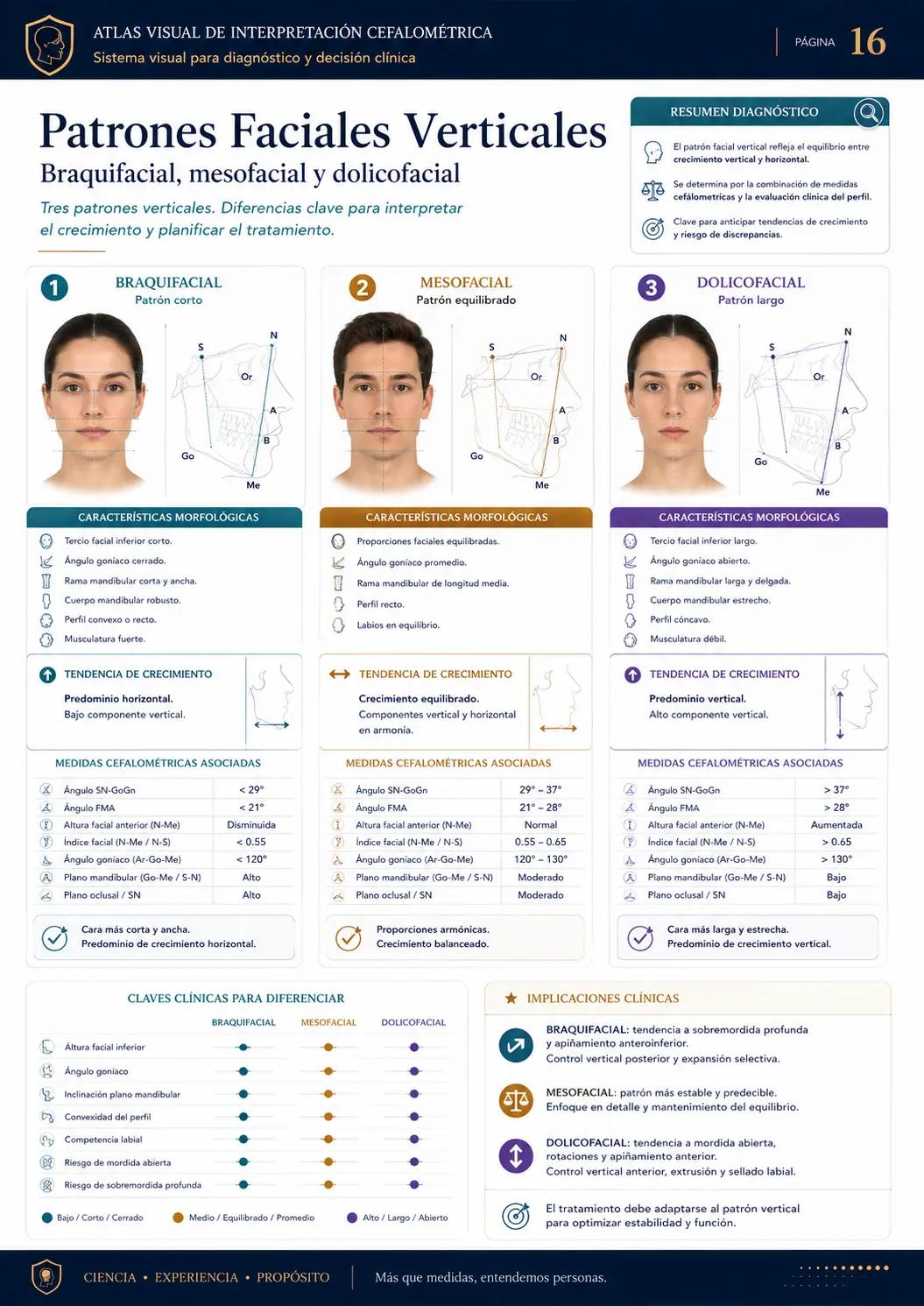 Padrões Faciais Verticais
