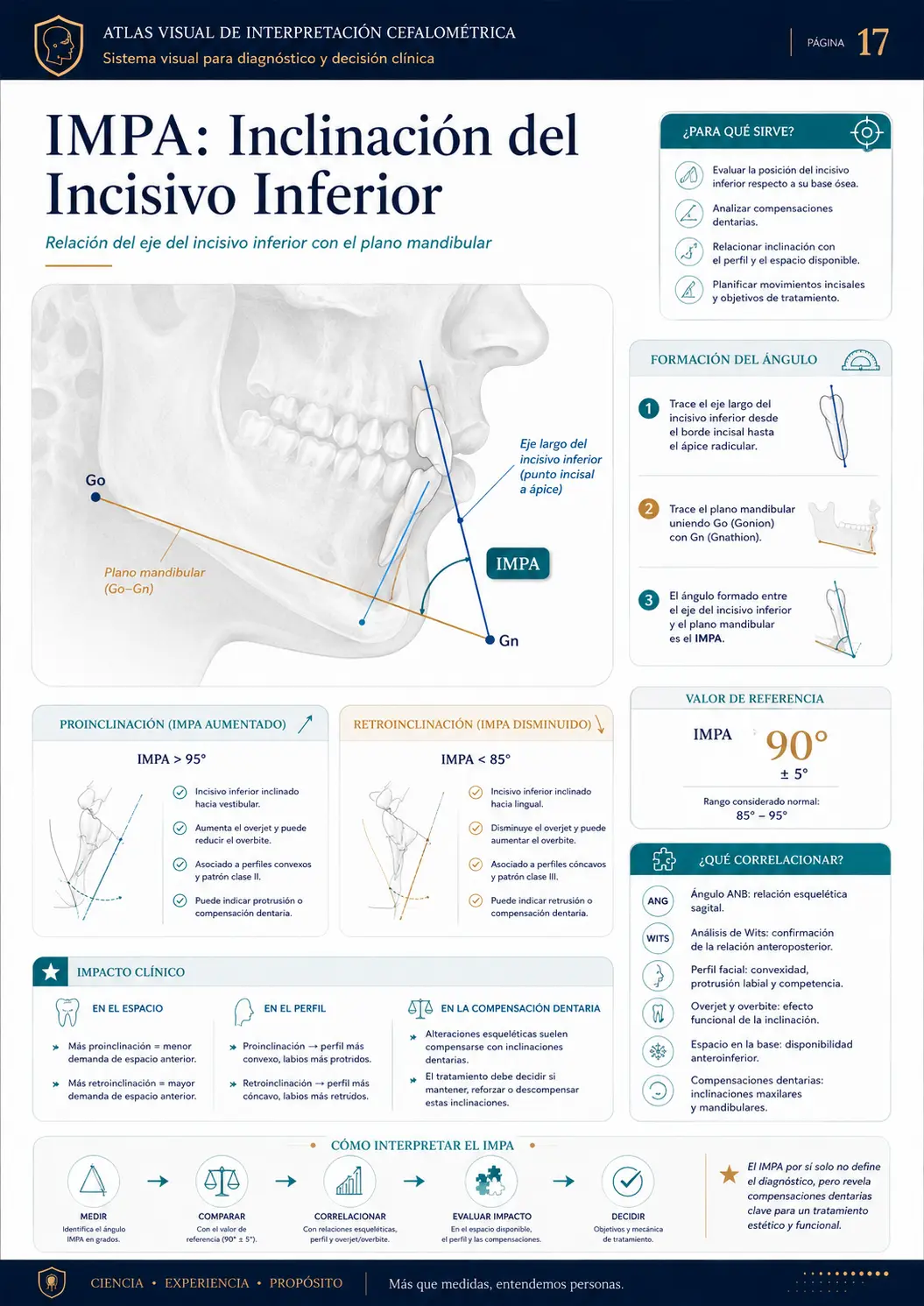 IMPA: Inclinação do Incisivo Inferior