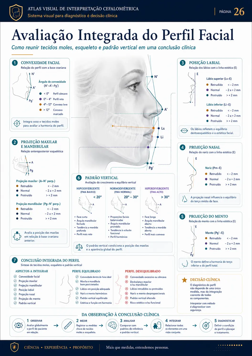 Avaliação Integrada do Perfil Facial